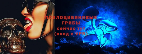 а пвп мука Надым