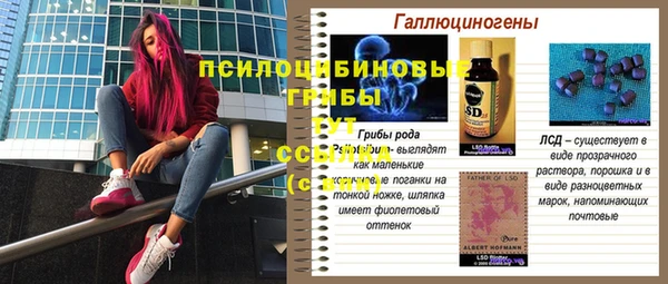 соль ск Навашино