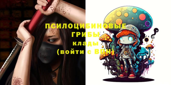 а пвп мука Надым